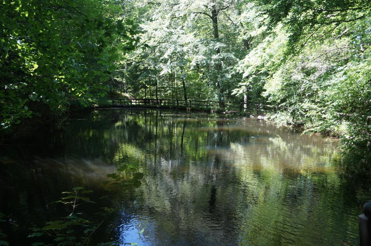 Ferienwohnung Lechsner Bad Harzburg Luaran gambar